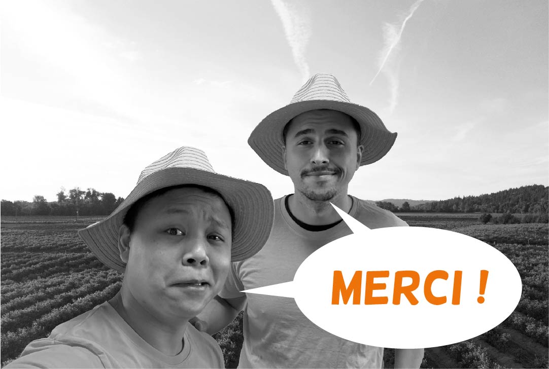 AVIS_MERCI